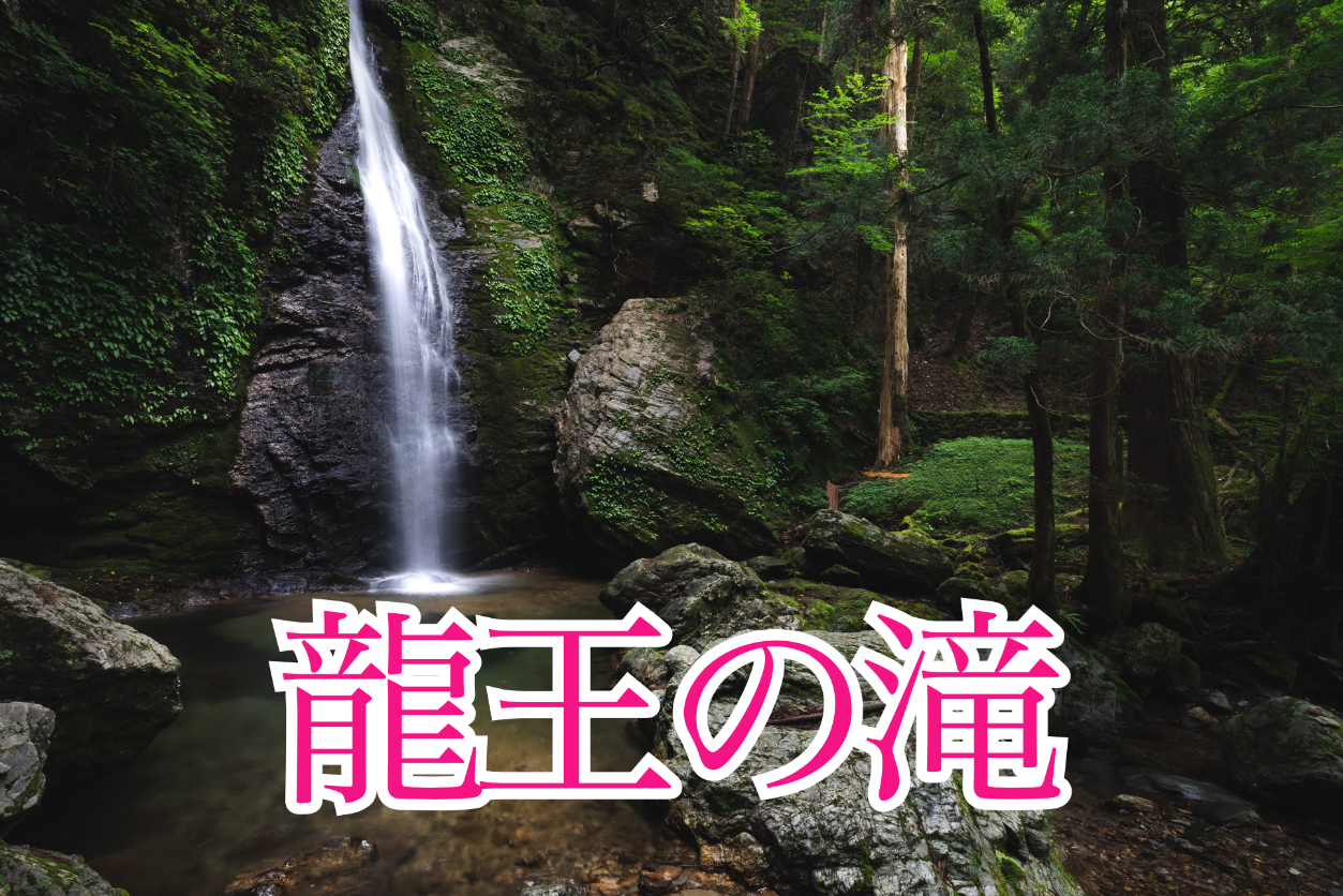 93867FC4-4130-4A73-A4AE- 93867FC4-4130-4A73-A4AE-