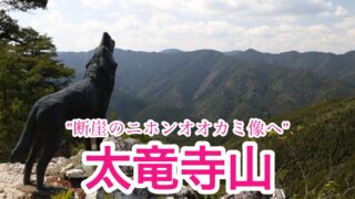 太竜寺山のニホンオオカミ像