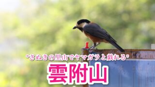 雲附山【香川/さぬき町】
