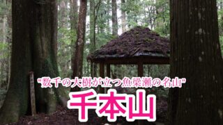 千本山【高知/四国百名山】
