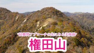 権田山【徳島/四国百名山】