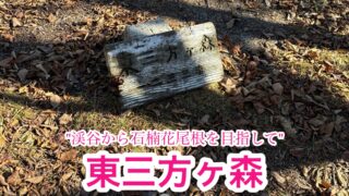 東三方ヶ森【愛媛/四国百名山】