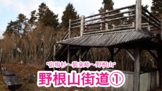 野根山街道 part1 (宿場杉〜野根山)【高知/四国百名山】