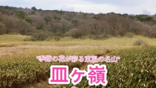 皿ヶ嶺【愛媛/四国百名山】